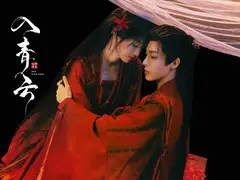 入青云剧情介绍封面图