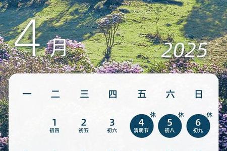 测车牌2025年06月04日是你的幸运数吗